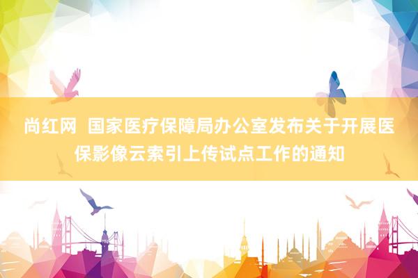 尚红网  国家医疗保障局办公室发布关于开展医保影像云索引上传试点工作的通知
