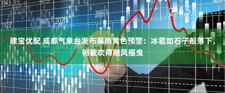 建宝优配 成都气象台发布暴雨黄色预警：冰雹如石子般落下，树被吹得随风摇曳