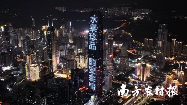 91微操盘 金桔之夜闪耀珠海！融安金桔大湾区推介会即将甜蜜启幕